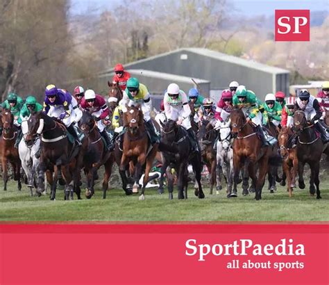 grand national odds skybet|2023 Grand National: the runners, the odds, the verdict .